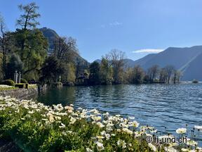 Herzlich willkommen im Reka Feriendorf Lugano Albonago