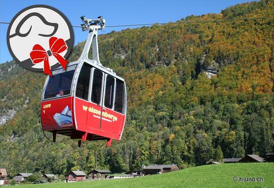 Téléphérique Matt-Weissenberge