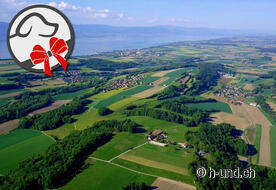 Our recommendation nearby: Guesthouse La Molière