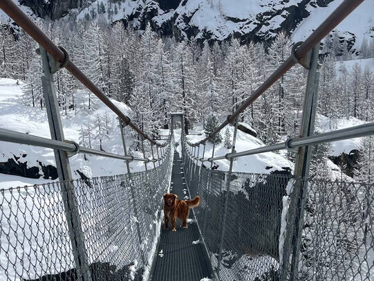 03. Jessy mit Anoki, Zermatt (VS)/Insta:@workingdogs_zermatt
