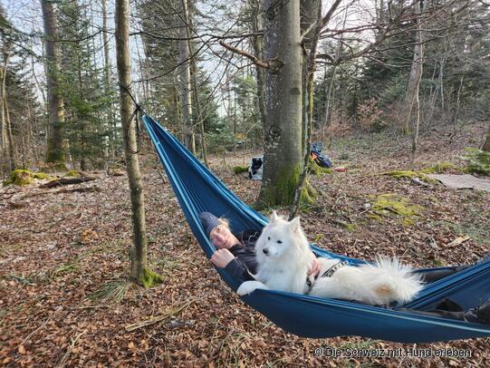 Sabrina mit Qumaira auf der Saallhöhe