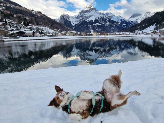 15.Solange Brack mit Gioia, Engelberg/Insta:@geissebluemli