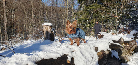 Nadja Fürst mit Tyson