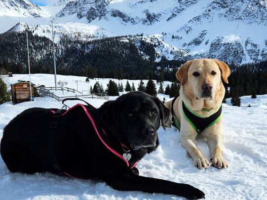 8. Nicole Raschle mit Samy&Baileys /Insta: @nisajesh