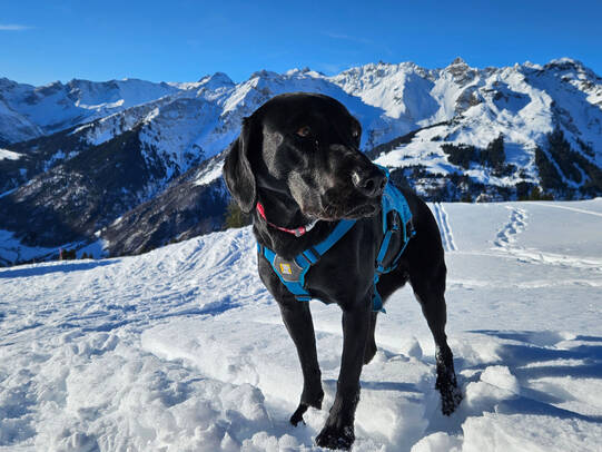 05.Barbara Fritsche mit Hannya, Weissenberge (GL)