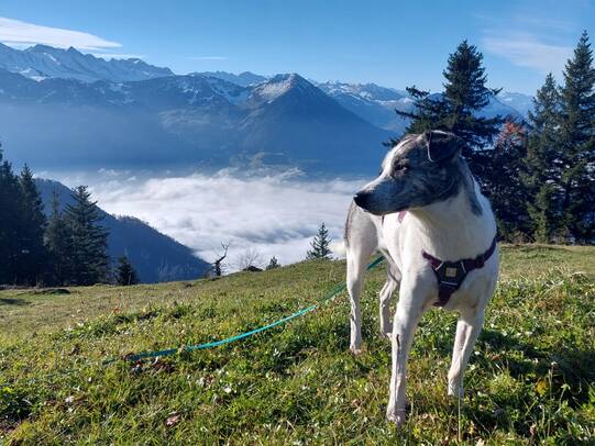 15. Mala, Rigi (SZ) / Facebook @TamaraWäckerli