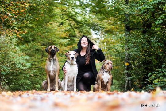 14. Aria, Alma, Klaudija und Lottie, Rapperswil SG / Instagram @klaudijashundewelt