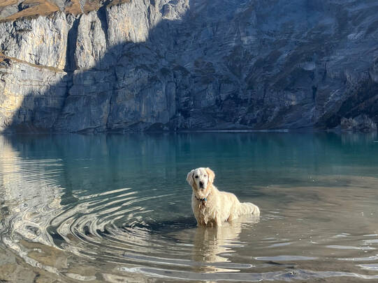 13. Jambo, Oeschinensee BE