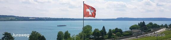 Chemin de Saint-Jacques avec chien dans le Jura