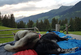 The view from the sleeping place.